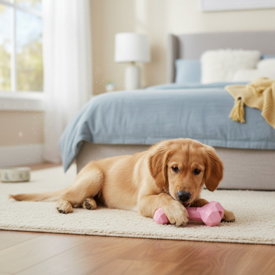 Tootoy! Puppy Ossinho Diamond para cachorros, , large Imagem n&uacute;mero 1