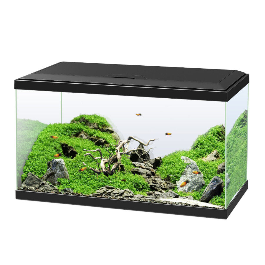 Ciano Aqua Led 60 Aqu&aacute;rio Preto com Luz led, filtro e aquecedor, , large Imagem n&uacute;mero 1