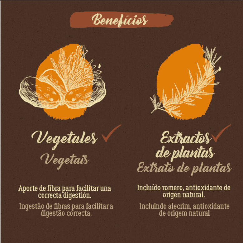 7 kg True Origins Adult Sterilised Pure Frango ração para gatos,  Imagem número 6 7 kg True Origins Adult Sterilised Pure Frango ração para gatos, , large Imagem número 6