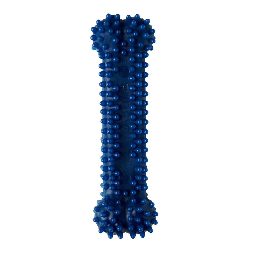 Nylabone Dental Chew Mordedor de osso para c&atilde;es, , large Imagem n&uacute;mero 1