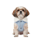 Gotoo Casaco Azul-Claro para c&atilde;es, , large Indicador imagem n&uacute;mero 7