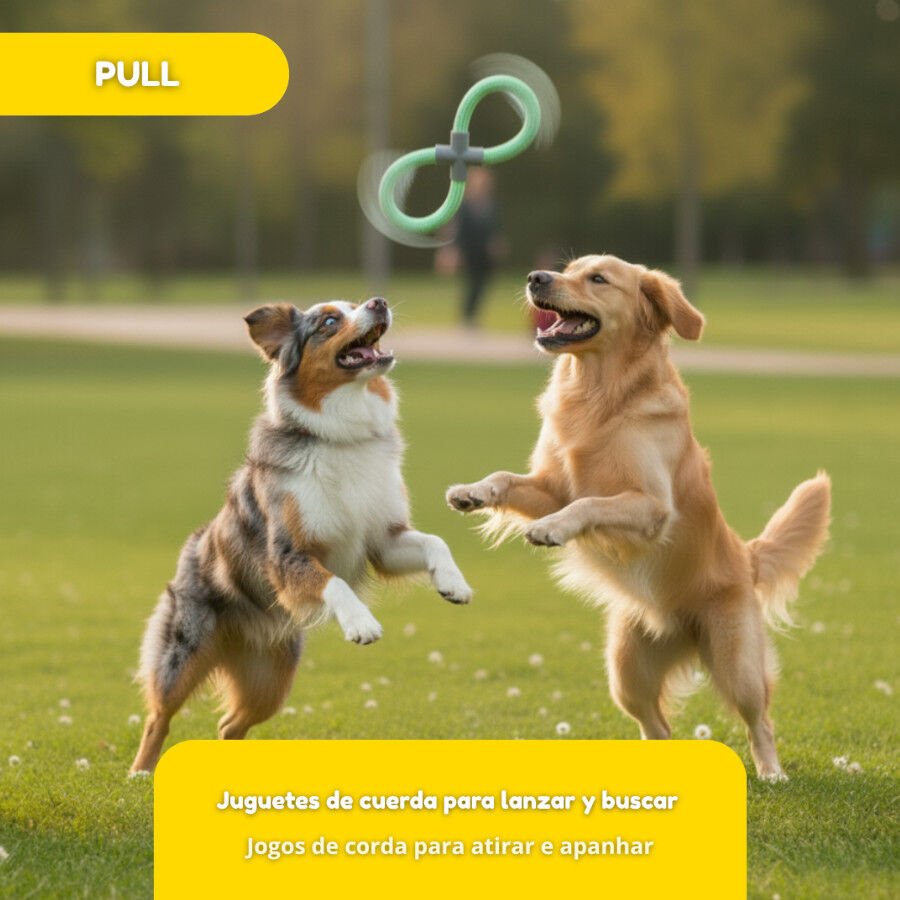 Tootoy! Pull Mordedor de corda com duplo la&ccedil;o para c&atilde;es, , large Imagem n&uacute;mero 6