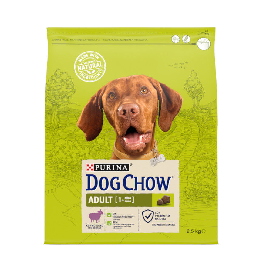 2.5 kg Dog Chow Adult borrego ra&ccedil;&atilde;o para c&atilde;es, , large Imagem n&uacute;mero 1