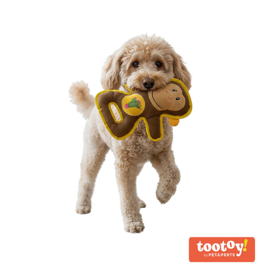 Tootoy! Comfort Peluche de macaco para c&atilde;es, , large Imagem n&uacute;mero 1