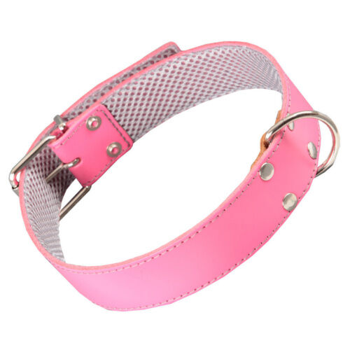 Arppe cuero rosa con forro interior collar perros Imagem n&uacute;mero 1
