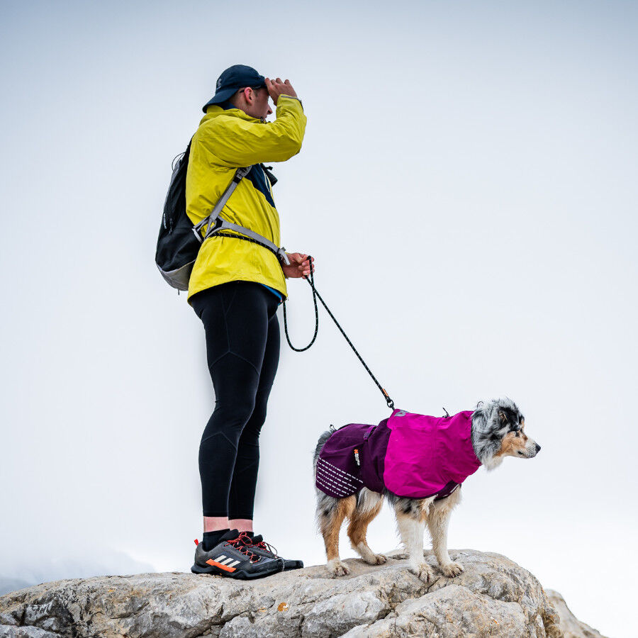 Non-stop dogwear Fjord Capa de chuva imperme&aacute;vel p&uacute;rpura para c&atilde;es, , large Imagem n&uacute;mero 3