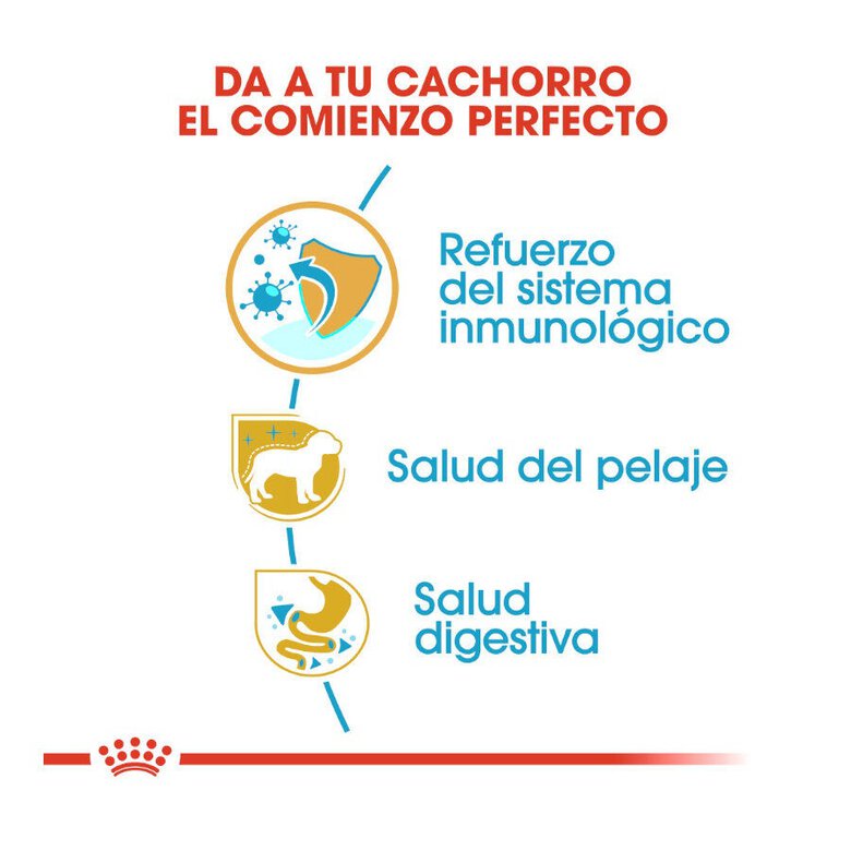 Royal Canin Puppy Yorkshire Terrier ração para cães,  Imagem número 5 Royal Canin Puppy Yorkshire Terrier ração para cães, , large Imagem número 5