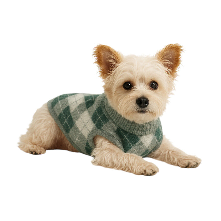 Outech Hoodie com Losangos Verdes para c&atilde;es, , large Imagem n&uacute;mero 3