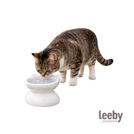 Leeby Comedouro Elevado Inclinado de Cer&acirc;mica Branco para gatos