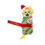 Kong Holiday Pull-A-Part Present brinquedos para gatos , , large Indicador imagem número 1
