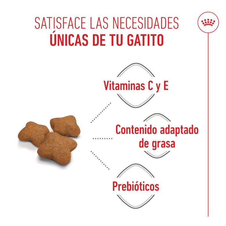 3.5 kg Royal Canin Kitten Sterilised ração para gatos ,  Imagem número 4 3.5 kg Royal Canin Kitten Sterilised ração para gatos , , large Imagem número 4