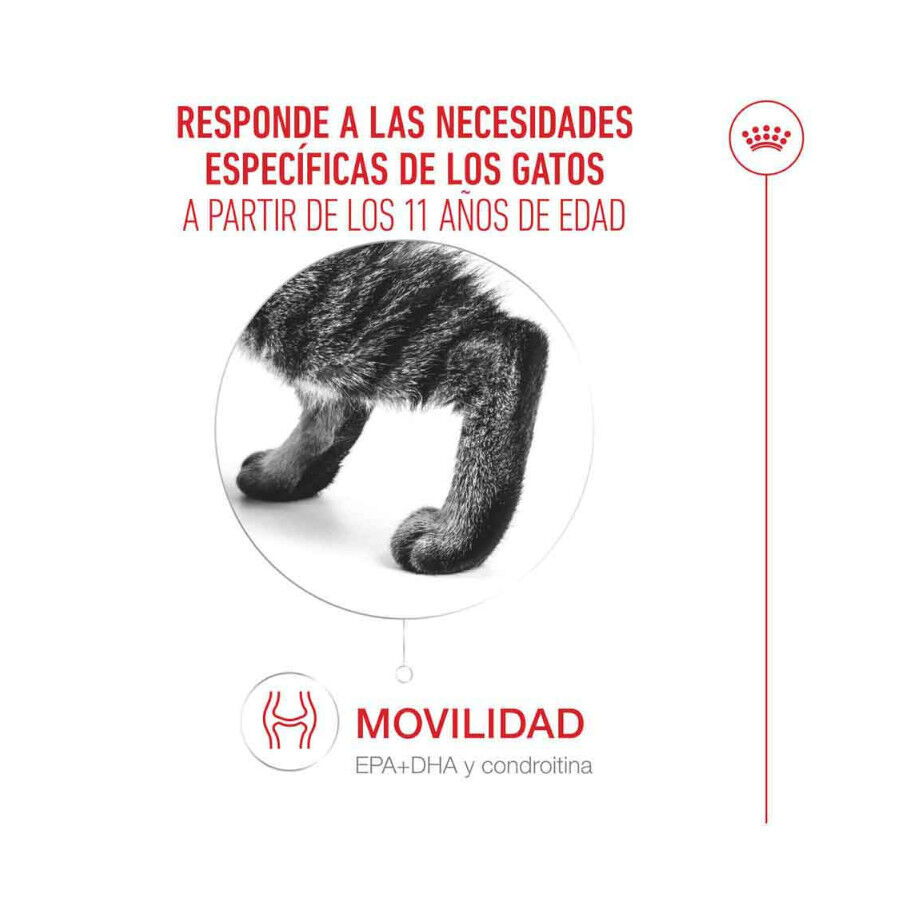 4 kg Royal Canin Ageing 11+ ra&ccedil;&atilde;o para gatos, , large Imagem n&uacute;mero 6