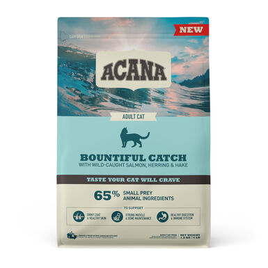 Acana Bountiful Salmão ração para gatos