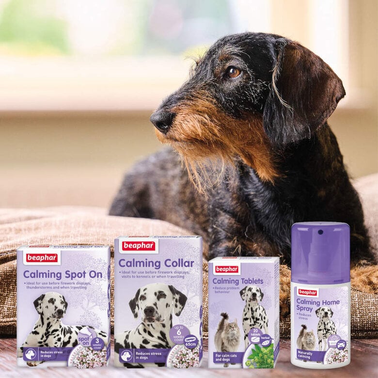 Beaphar Pipetas Relaxantes para cães,  Imagem número 3 Beaphar Pipetas Relaxantes para cães, , large Imagem número 3