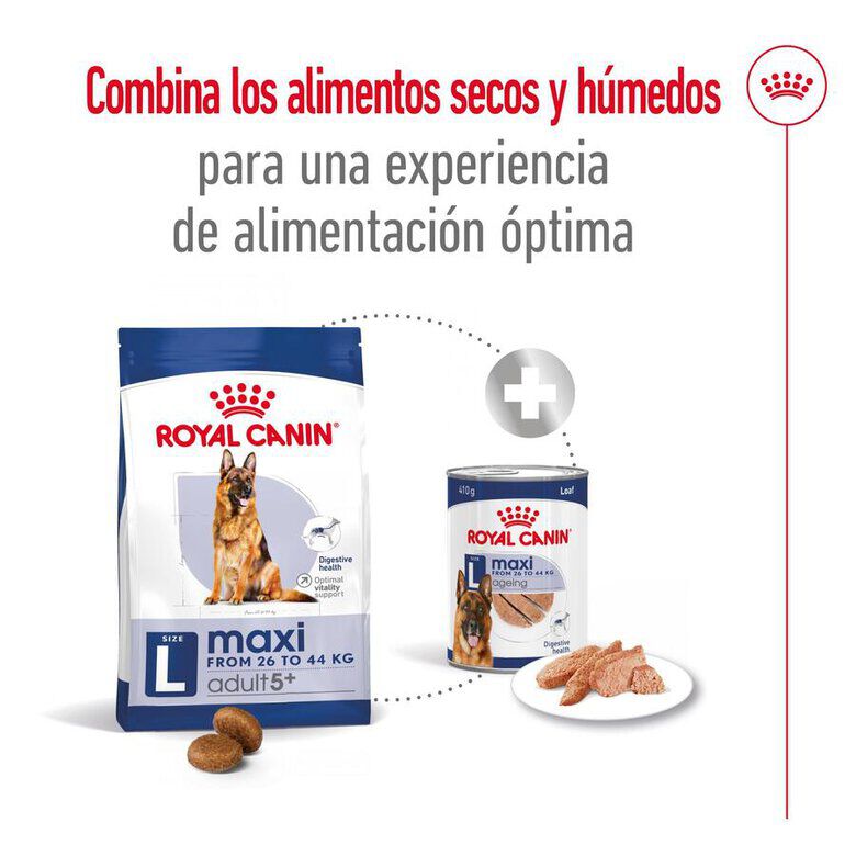 15 kg Royal Canin Maxi Adult 5+ ra&ccedil;&atilde;o para c&atilde;es seniores de ra&ccedil;a grande, , large Imagem n&uacute;mero 11