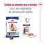 2 x 15 kg Royal Canin Maxi Adult 5+ ração para cães seniores de raça grande Pack poupança!, , large Indicador imagem número 11