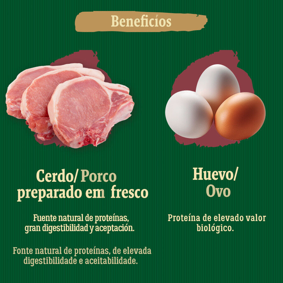 True Origins Wild Maxi Farm ra&ccedil;&atilde;o de porco para c&atilde;es, , large Imagem n&uacute;mero 5