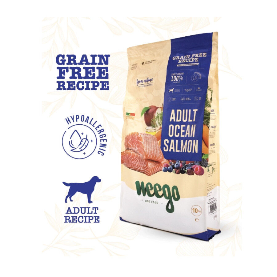10 kg Weego Grain Free Adult Ocean Salm&oacute;n ra&ccedil;&atilde;o para c&atilde;es , , large Imagem n&uacute;mero 2