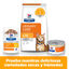1.5 kg Hill's Prescription Diet Urinary Care Frango ra&ccedil;&atilde;o para gatos, , large Indicador imagem n&uacute;mero 9