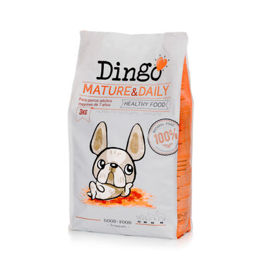 Dingo Senior Mature&Daily Frango ração para cães