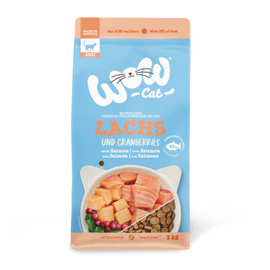 Wow, comida de gato salmão adulto