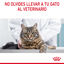 85 g Royal Canin Hairball Care Saquetas em Gelatina para gatos, , large Indicador imagem número 3
