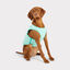 GF Pet ElastoFit Ice Vest Colete Refrescante para cães, , large Indicador imagem número 3