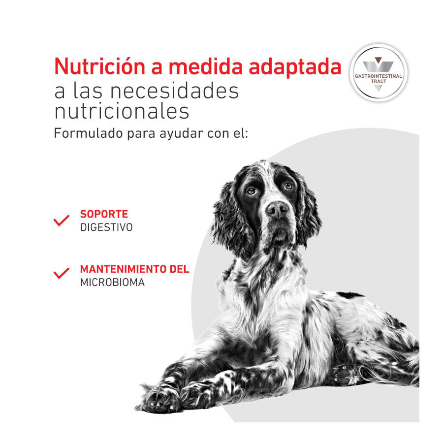 400 g Royal Canin Veterinary Diet Gastrointestinal lata para c&atilde;es, , large Imagem n&uacute;mero 4