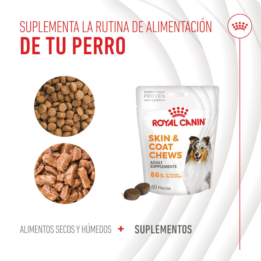240 g Royal Canin Skin & Coat Chews Suplemento Nutricional Adulto para C&atilde;es, , large Imagem n&uacute;mero 9
