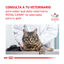 4 kg Royal Canin Veterinary Gastrointestinal ração para gatos , , large Indicador imagem número 8