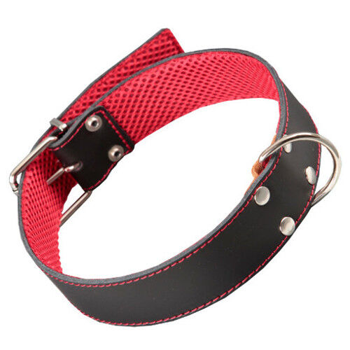 Arppe cuero cosido negro collar para perros Imagem n&uacute;mero 1