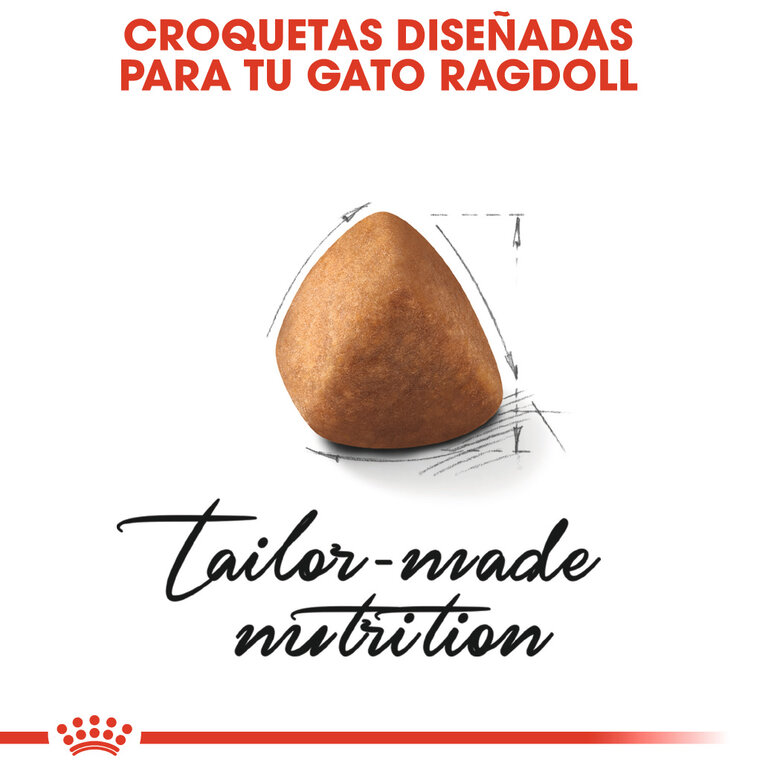 2 kg Royal Canin Adult Ragdoll ração para gatos,  Imagem número 3 2 kg Royal Canin Adult Ragdoll ração para gatos, , large Imagem número 3