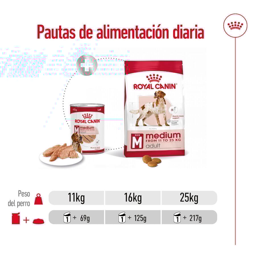 410 g Royal Canin Medium Adult Pat&ecirc; em lata para c&atilde;es, , large Imagem n&uacute;mero 6