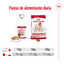 410 g Royal Canin Medium Adult Patê em lata para cães, , large Indicador imagem número 6