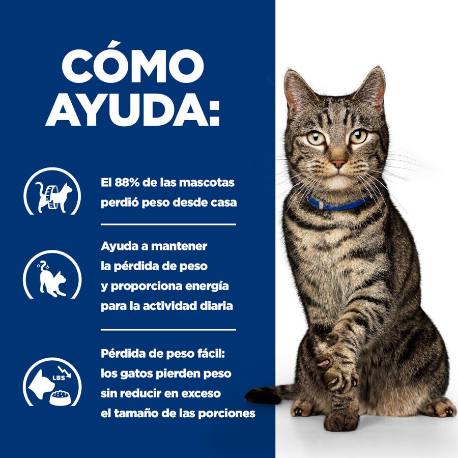 12 saquetas x 85 g Hill's Prescription Diet Metabolic Feline Saquetas - Multipack, , large Imagem n&uacute;mero 10