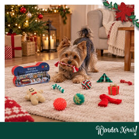 Wonder Christmas Calend&aacute;rio do Advento para c&atilde;es