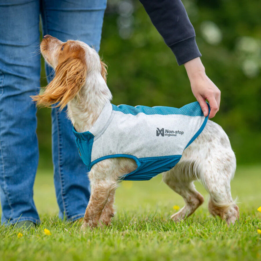 Non-stop Dogwear Colete Refrescante Pull-On Cinzento para c&atilde;es, , large Imagem n&uacute;mero 5