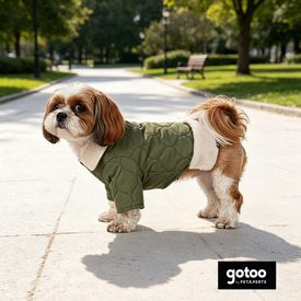 Gotoo Casaco Acolchoado Verde para c&atilde;es