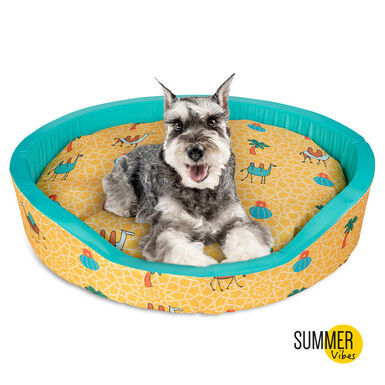 Summer Vibes Cama de cachorro refrescante camel Fresh