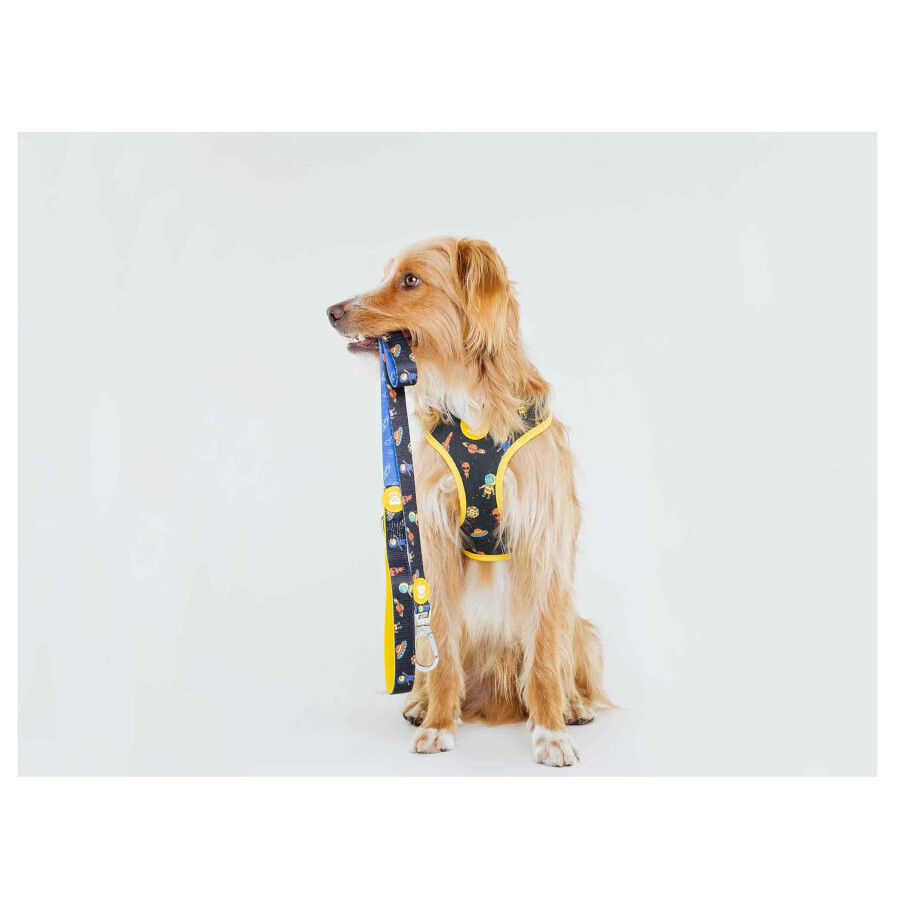 Dukier Space Trela com Estampado do Espa&ccedil;o para c&atilde;es , , large Imagem n&uacute;mero 2