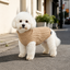 Gotoo Camisola de Malha Castanha para c&atilde;es, , large Indicador imagem n&uacute;mero 1
