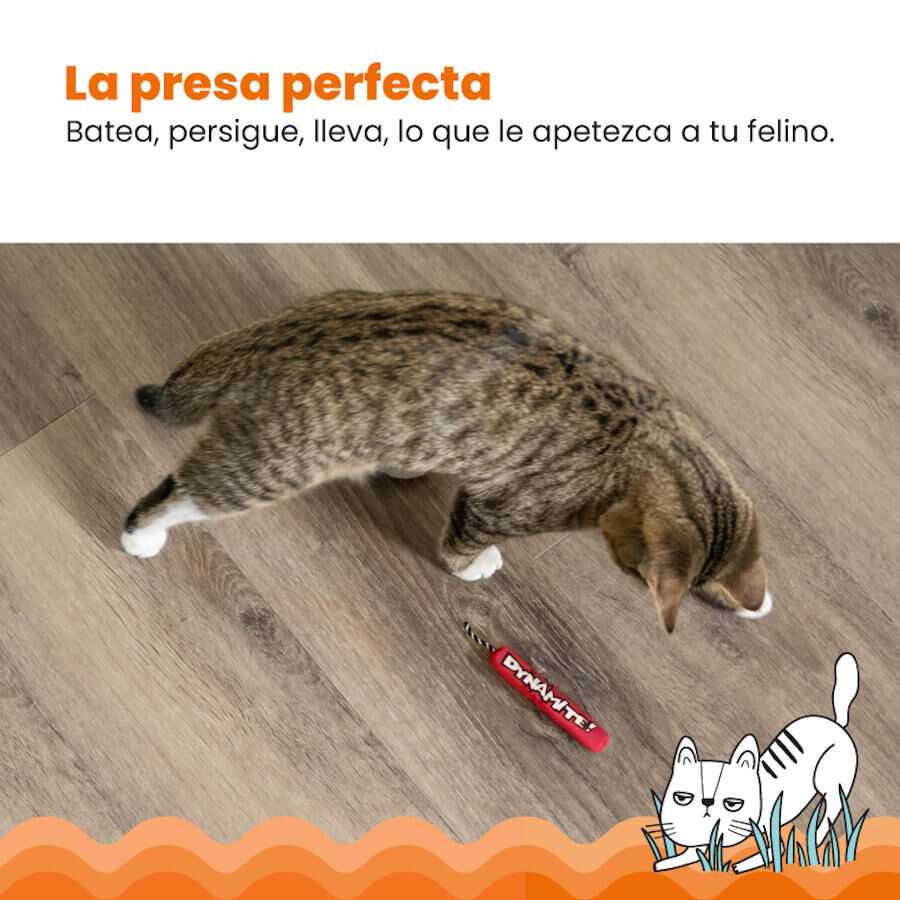 Catstages Green Magic Dynamite Vermelho Peluche para gatos, , large Imagem n&uacute;mero 2