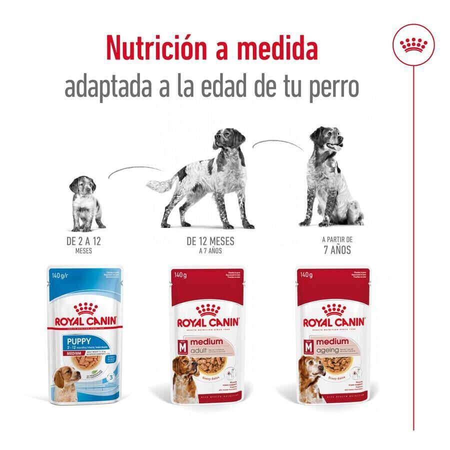 140 g Royal Canin Medium Adult saquetas em molho para c&atilde;es, , large Imagem n&uacute;mero 5