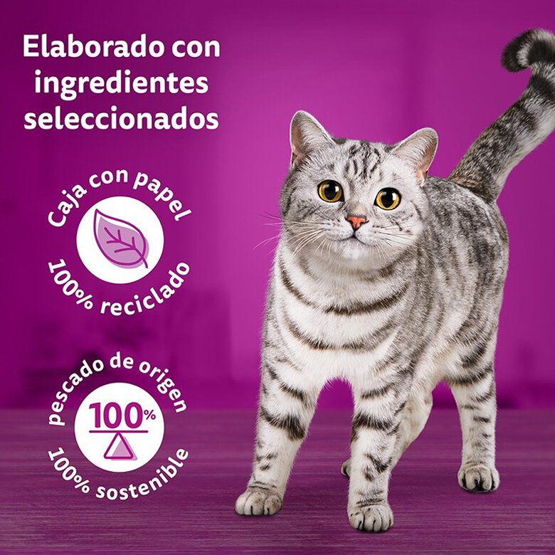 4 saquetas x 85 g Whiskas Tasty Mix Coleção Country Molho em Saqueta para Gatos adultos,  Imagem número 5 4 saquetas x 85 g Whiskas Tasty Mix Coleção Country Molho em Saqueta para Gatos adultos, , large Imagem número 5