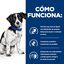 48 latas x 156 g Hill's Prescription Diet Digestive Care Guisado de Frango e Legumes lata para cães Pack poupança!, , large Indicador imagem número 3