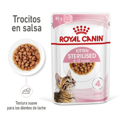 Royal Canin Kitten Sterilised alimento húmido em molho saquetas para gatos
