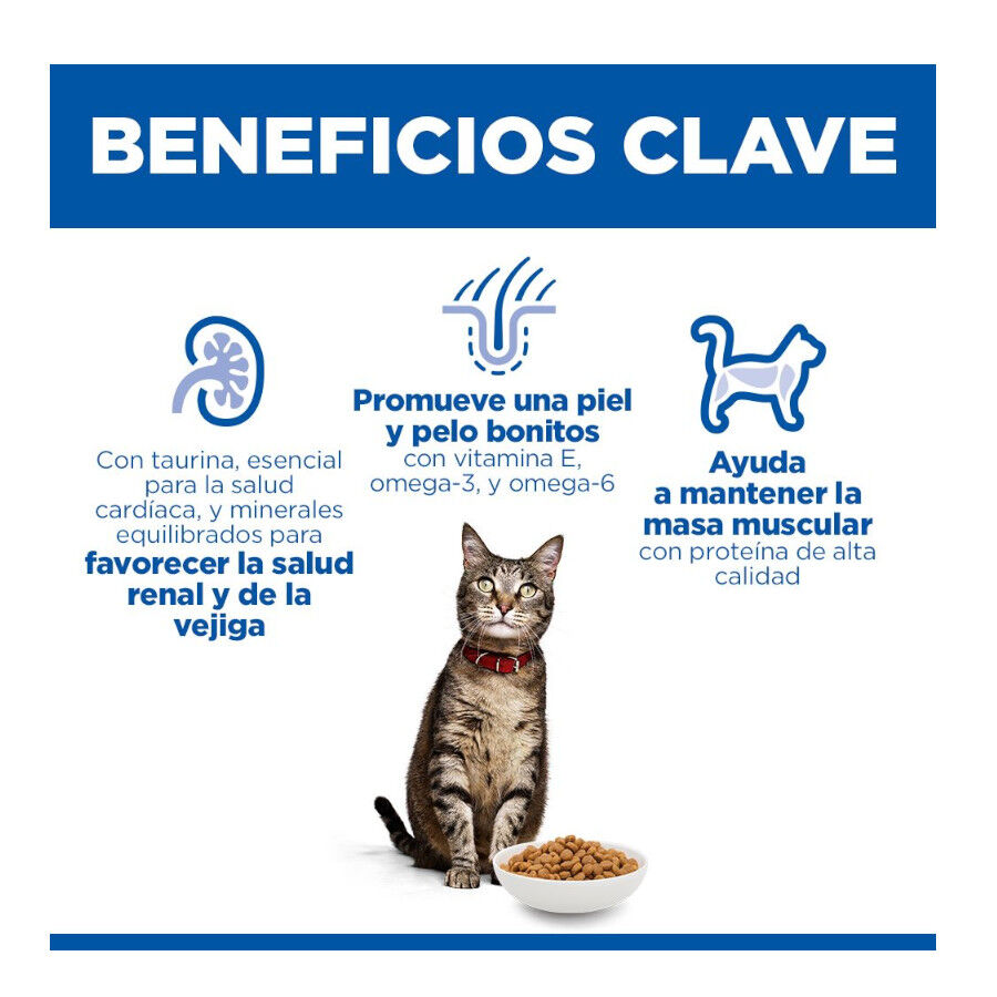 1.5 kg Hill's Science Plan Adult Ra&ccedil;&atilde;o de salm&atilde;o para gatos, , large Imagem n&uacute;mero 5