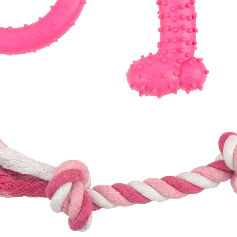 Tootoy! Chew Teething Rosa Conjunto de mordedores para cachorros,  Imagem número 3 Tootoy! Chew Teething Rosa Conjunto de mordedores para cachorros, , large Imagem número 3
