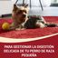1.5 kg Purina One Adult Mini Bifensis Sensitive Salmão e Arroz ração para cães, , large Indicador imagem número 2