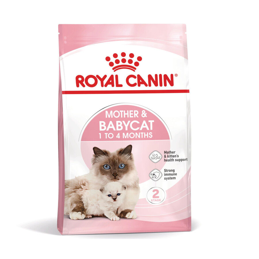 2 x 4 kg Royal Canin Mother & Baby ra&ccedil;&atilde;o para gatos Pack poupan&ccedil;a!, , large Imagem n&uacute;mero 2